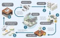 Carbon Capture Diagram Composition