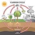 Carbon cycle with CO2 dioxide gas exchange process scheme outline concept Royalty Free Stock Photo