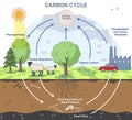 Carbon cycle diagram. Educational infographic with the biochemical process of Carbon Dioxide conversion. CO2 emission Royalty Free Stock Photo