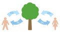 Carbon Cycle Oxygen Humans Tree Respiration Pictogram Royalty Free Stock Photo