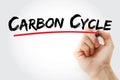 Carbon cycle text with marker