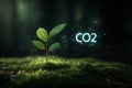 Carbon dioxide co2 capture and storage by plant leaf for climate change and environmental sustainability. Royalty Free Stock Photo