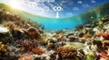 Carbon dioxide emissions and Ocean acidification concept. Environmental change, water acidification, carbon dioxide absorption and