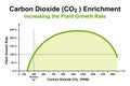 Carbon dioxide (CO2) enrichment, effect on the plant growth rate