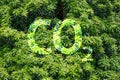 Carbon dioxide written on spring greenery foliage background Royalty Free Stock Photo