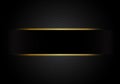 Carbon fiber background and texture and lighting with black label and gold line. Luxury style. Material wallpaper for car tuning Royalty Free Stock Photo