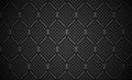 Carbon fiber honey comb background. EPS 10 vector.