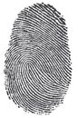 Carbon Fingerprint