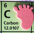 Carbon Footprint