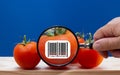 Carbon footprint bar code label on tomato magnified, food customer sustainability label Royalty Free Stock Photo