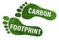 carbon footprint concept, barefoot footprint made of lush green grass