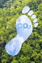 Carbon footprint concept with CO2 text and footprint shape against woodland - CO2 Neutral and ecological concept with foot symbol