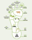 Carbon footprint infographic. CO2 ecological footprint scheme. Greenhouse gas emission by sector. Environmental and climate change