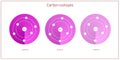 Carbon isotopes atomic structure - elementary particles physics theory