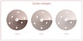 Carbon isotopes atomic structure - elementary particles physics theory