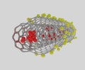 carbon nanotubes for drug delivery system