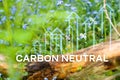 Carbon neutra icon on the top view of the forest for Carbon neutral and net zero concept