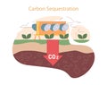 Carbon Sequestration concept. Royalty Free Stock Photo