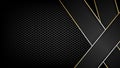 Premium abstract background with Carbon fibre texture and gold line