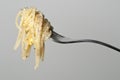 Carbonara spaghetti Royalty Free Stock Photo