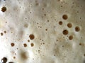 Carbonated drink foam close up with small bubbles texture Royalty Free Stock Photo