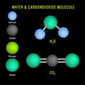 Carbondioxide and Water molecule 3D structure