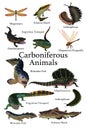 Collection of Carboniferous Animals, Fish and Insects