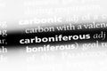 carboniferous