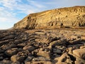 Carboniferous layers of limestone and shale cliffs at Dunraven Bay, Vale of Glamorgan, South Wales