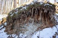 Carboniferous limestone outcrops in a ravine