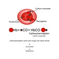 Carboxyhemoglobin. Joining the hemoglobin carbon monoxide. Carbon monoxide poisoning. Infographics. Vector illustration