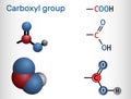 Carboxyl (carboxy) group. Functional group is defined as carbonyl and hydroxyl attached to a carbon atom. Carboxyl group