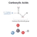 Carboxylic Acid chemical functional group scientific vector illustration infographic