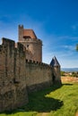 Carcassone wall detail