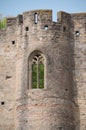 Carcassone Window