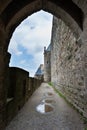 Carcassonne fortress Royalty Free Stock Photo