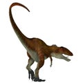 Carcharodontosaurus Dinosaur Tail Royalty Free Stock Photo