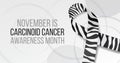 Carcinoid cancer awareness month concept. Banner template with zebra ribbon awareness and text.