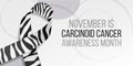 Carcinoid cancer awareness month concept. Banner template with zebra ribbon awareness and text.