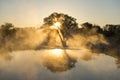 Carcoory artesian bore in western Queensland,