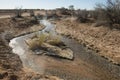 Carcoory artesian bore in western Queensland,