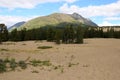 Carcross Desert, Carcross, Yukon, Canada Royalty Free Stock Photo