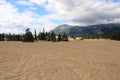 Carcross Desert, Carcross, Yukon, Canada Royalty Free Stock Photo