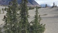 Carcross Desert