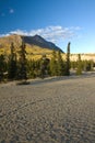Carcross Desert, a microclimate, in Canada Yukon