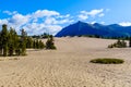 Carcross Desert in Yukon, Canada Royalty Free Stock Photo