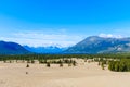 Carcross Desert in Yukon, Canada Royalty Free Stock Photo