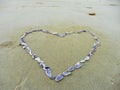 Card background shells on the beach top view heart shape next to the ocean