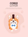 Card or banner for corgi breed dogs lovers and owners, flat vector illustration.