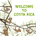 Card banner template with funny and cute smiling Three-toed sloth set on green branch tree creeper, copy space isolated white back